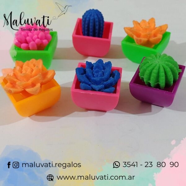 Cactus mágicos